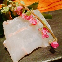 松栄 恵比寿本店 - 