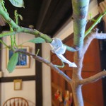 ポン ムヴァン - 