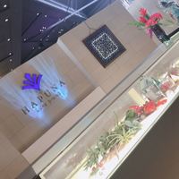 リュクス ダイニング ハプナ - 