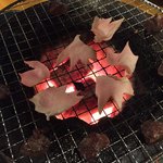 Miyazakijidori Yakitori Shimayoshi - 