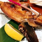 Kushikatsu Motsunabe Tamagaddo - 