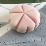 越後屋若狭 - 桜