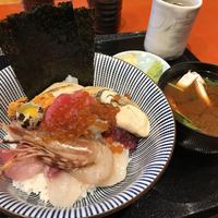 魚竹 - 
