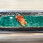 川口 鮨 さいとう - 