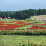 そば処 花鳥野 - 