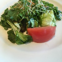 Serafina NEW YORK さいたま新都心店 - 