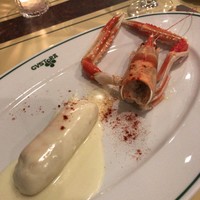 ガストーラ - 手長エビとオヒョウ　白ワインソース