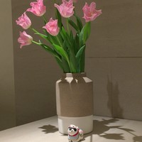 アニエルドール - 
