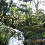 Yuukitei Kawashima - いずれのお部屋からも、 庭園の景色をご覧になれます。