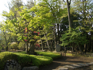 Yuukitei Kawashima - 庭園の散策も可能です。