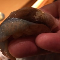 一心鮨 光洋 - 