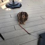 スターバックスコーヒー - 