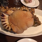 逗子バレル - 法螺貝