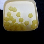 銀座 緑壽庵清水