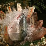 Izakaya Uohan - 右手には焼魚向きの魚