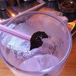 デリー - 塩ラッシーの中のリーフ