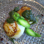 ファニエンテ - 