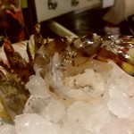 魚屋 うきうきらんらん 三鷹 - 