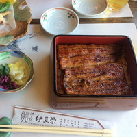 鰻割烹 伊豆栄 本店 - 