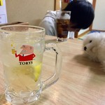 まぐろ丼　加一 - 1杯無料のトリスハイボール