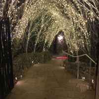 あざみ野うかい亭 - 