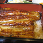 Unagi Ryou Shin - 