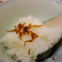 中之島なだ万 - 
