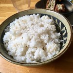 アリクイ食堂 - セルフサービスでおかわり自由のごはん
      押し麦入り。以前ならこれぐらい盛ったごはんをおかわりしたものだが、今日は一膳がやっと。我ながら食が少し細くなっているようだ。