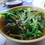 レ ファーブル ボンジュール - 鹿の煮込み料理のサラダ