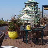 BLUE BIRDS ROOF TOP TERRACE - 