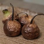 ボニュ - かぶ　切る前