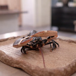 ボニュ - 「やめてぇ」