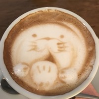 トラットリア ブラチェリア アゴスティーノ!! - 