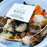 Delicatessen Lama - 鶏肉のバスケーズソース弁当