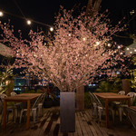 神楽坂焼肉 Kintan - 