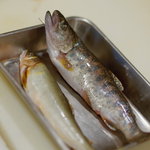 うを徳 - 四万十川の鮎（あゆ）に北上川の山女（やまめ）