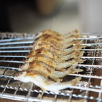 松川 - もろこっ！