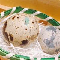 南青山 七鳥目 - 