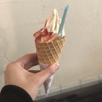 ジェラテリア アクオリーナ - ヘーゼルナッツのソフトに生のイチゴトッピング（750円）税込