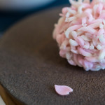和三盆 恵菓 - 今日（けふ）の生菓子（なまぐわし）"初櫻（はつざくら）"、花瓣（はなびら）