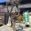 蕎麦処つゆ下梅の花 本店
