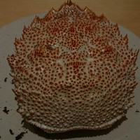 アルゴリズム - 