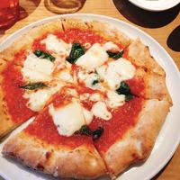 THE RIGOLETTO - 