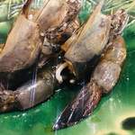 萬的中華 笑龍 - 天使の海老 紹興酒漬け。