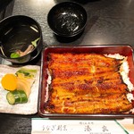 うなぎ割烹 湊家 - 