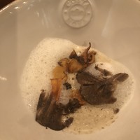 セルサルサーレ - 