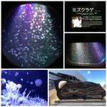 鶴岡市立加茂水族館 売店 - 鶴岡市立加茂水族館