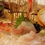 Mekikinoginji - 糸撚鯛