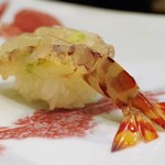 鮨 井上 - 車海老