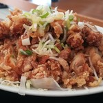 Fukugen - 油淋鶏。横アングル。結構な盛り！